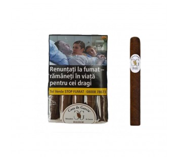 Trabucuri Casa de Garcia Magnum Sumatra (10)